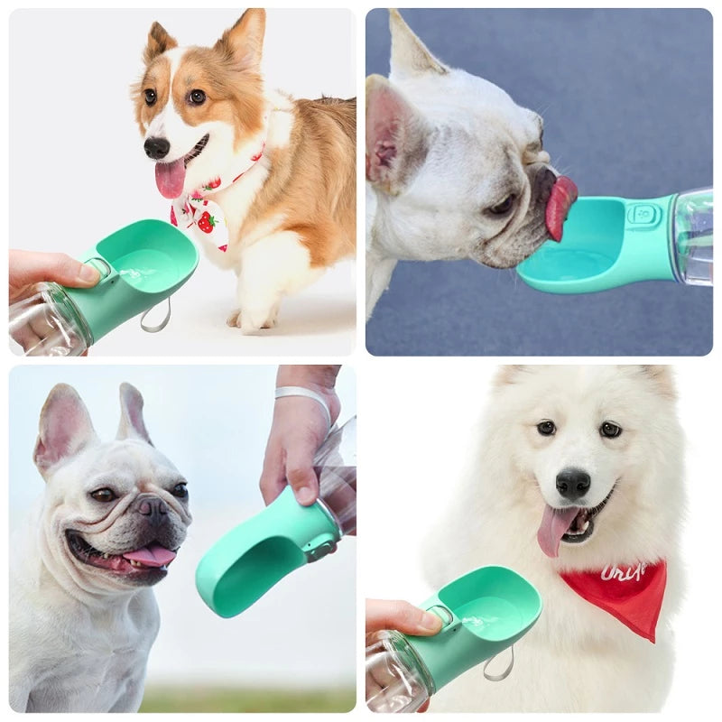 Garrafa Inteligente Para Água Pets
